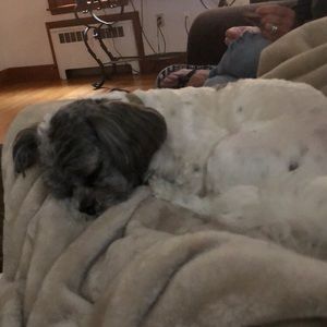 Meet your Posher, Marissa